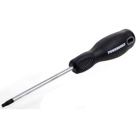 POWERBUILT T-20 X 4" Star Driver  (Inj Handle) 646156